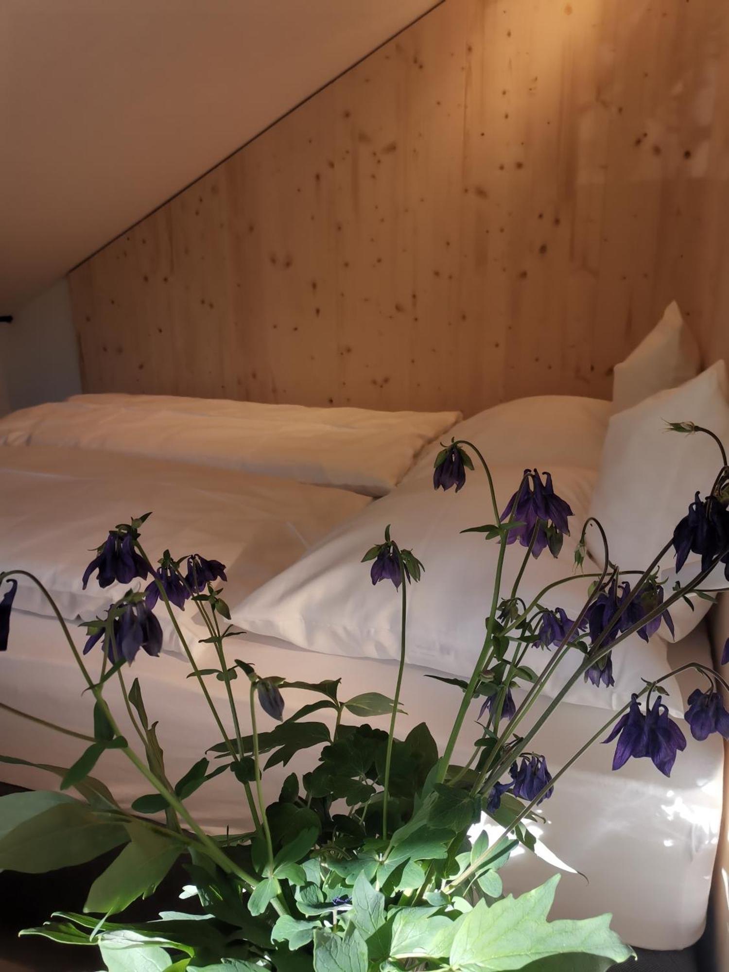 Ferienwohnung Ansitz Grustdorf Eppan an der Weinstraße Exterior foto